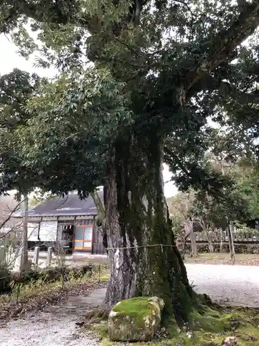 中嶋神社(兵庫県)