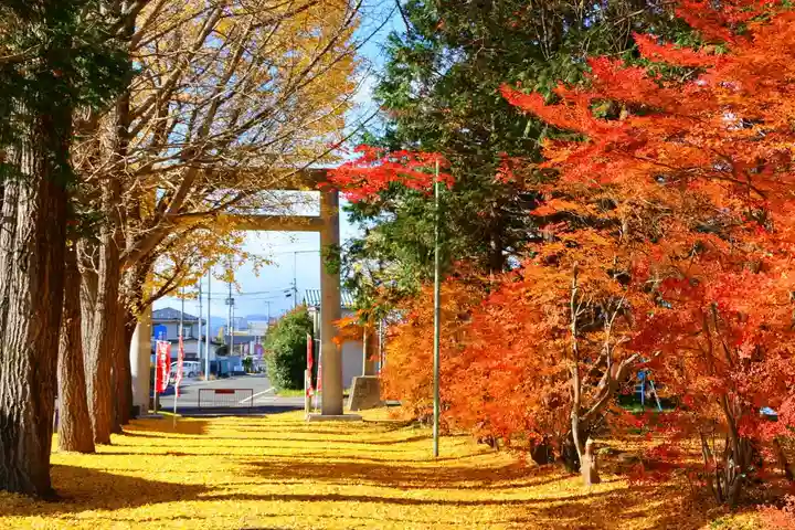青柳神社の鳥居