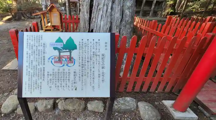 涼ケ岡八幡神社の歴史