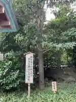 寒川神社の自然