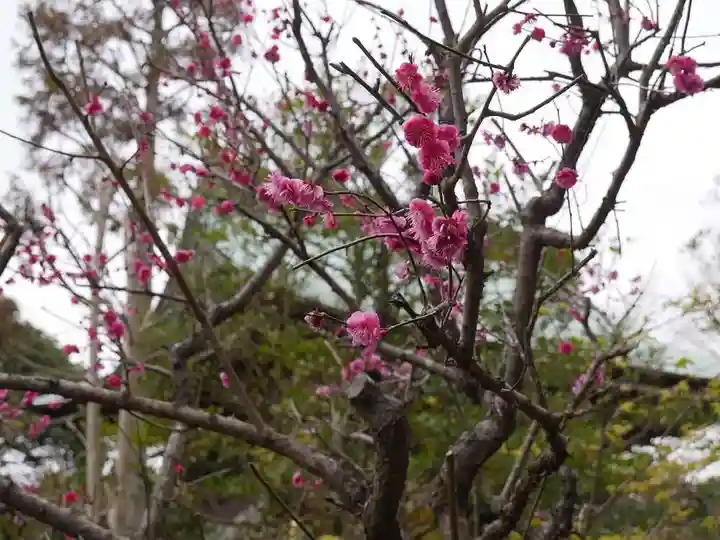 江島神社の自然