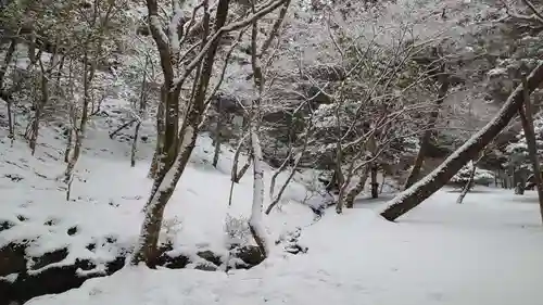 慈照寺（慈照禅寺・銀閣寺）(京都府)