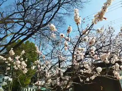 屯倉神社(大阪府)