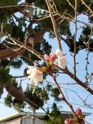 住吉神社の自然