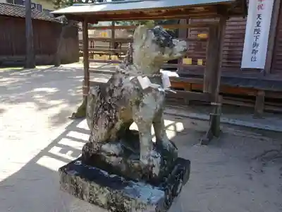 石清水神社の狛犬