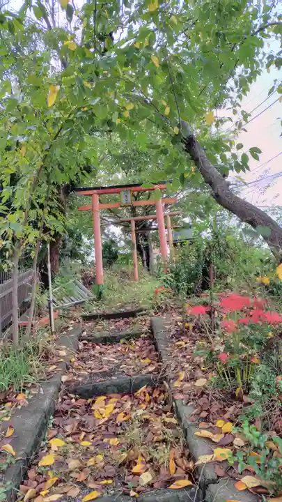 川端稲荷神社(神奈川県)