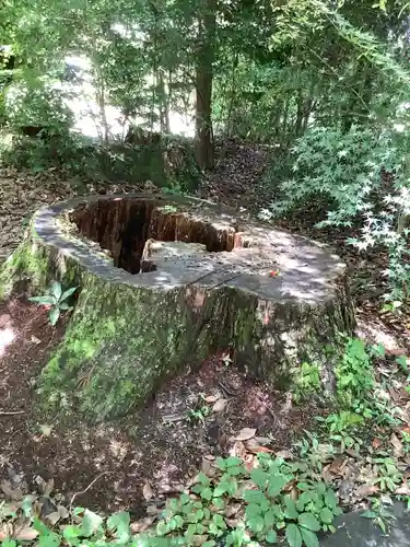 猿投神社の自然
