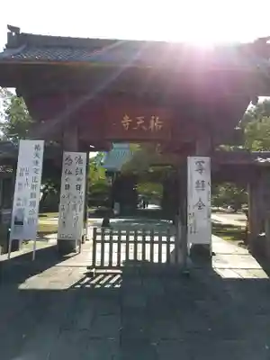 祐天寺の山門・神門