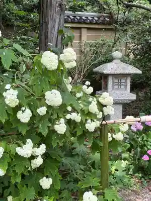 梅宮大社(京都府)