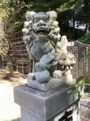 富部神社の狛犬