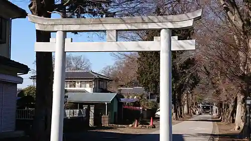 野木神社の鳥居