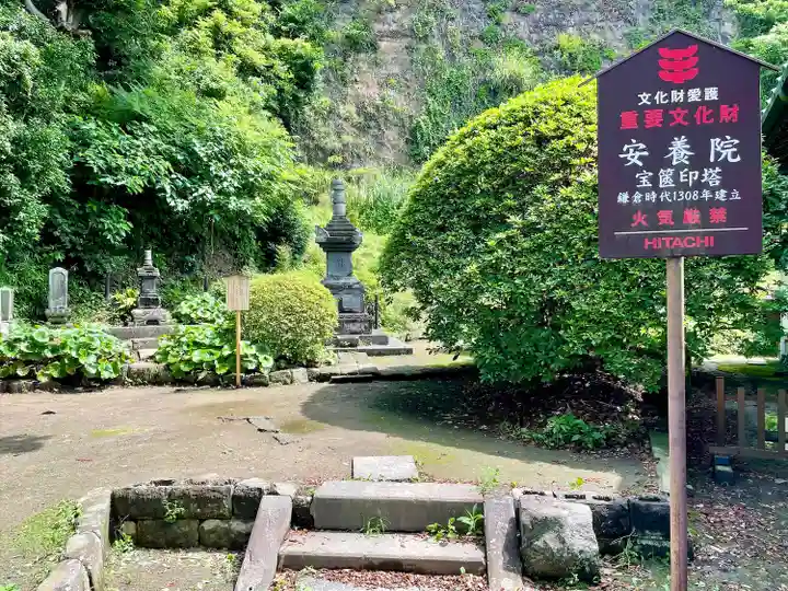 安養院 (田代寺)(神奈川県)