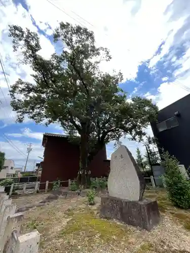 手力雄神社(岐阜県)