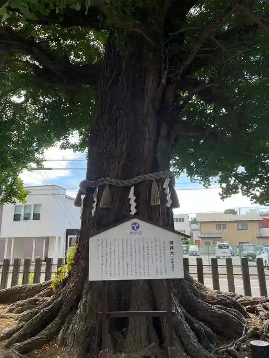 神明宮(青森県)