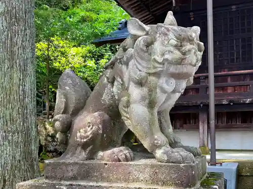 阿多由太神社の狛犬