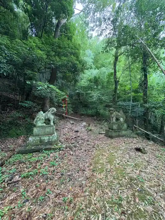 大學稲荷神社の狛犬