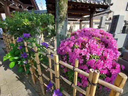 光念寺の庭園