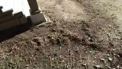 酒門神社の建物その他