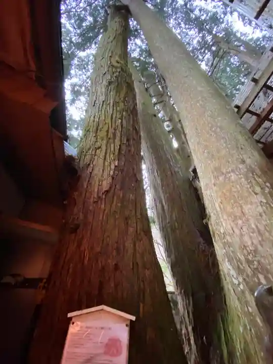 清高稲荷社(和歌山県)