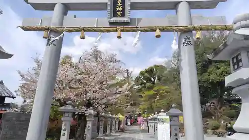 出雲大神宮(京都府)