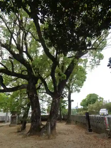 鹿島神社(熊本県)