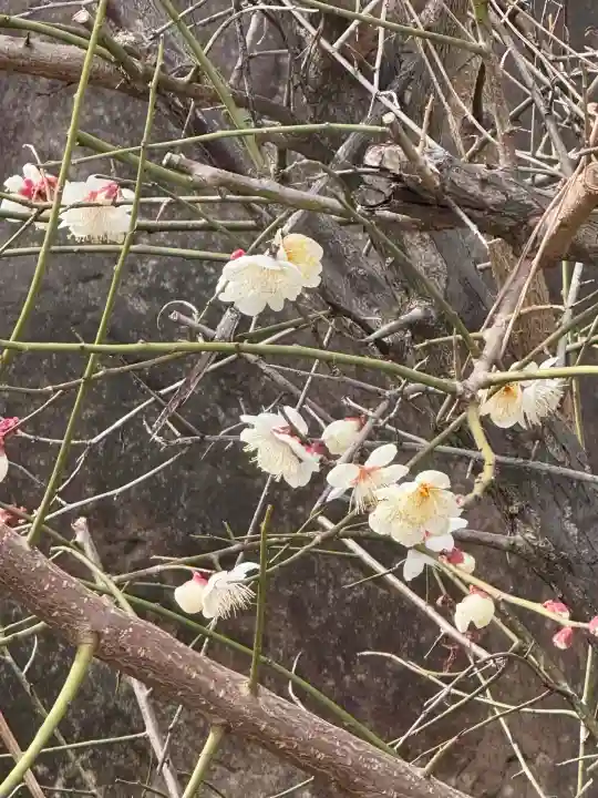 大蓮寺の{uncategorized: "未分類", other: "その他", undefined: "問題あり", building: "その他建物", grave: "お墓", sacred_gate: "鳥居", guardian: "狛犬", statue: "像", buddha: "仏像", history: "歴史", nature: "自然", garden: "庭園", animal: "動物", pagoda: "塔", temizu: "手水舎", mountain_gate: "山門・神門", sanctuary: "本殿・本堂", subordinate: "末社・摂社", art: "芸術", scenery: "景色", jizo: "地蔵", ema: "絵馬", goshuin: "御朱印", omikuji: "おみくじ", items: "授与品その他", amulet: "お守り", goshuincho: "御朱印帳", eats: "食事", festival: "お祭り", votive_dance: "神楽", shichigosan: "七五三参", wedding: "結婚式", experience: "体験その他", initially: "初詣", around: "周辺", anti_infection: "感染症対策"}
