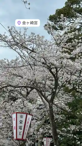 金崎宮(福井県)