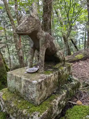 両神神社 奥社の狛犬