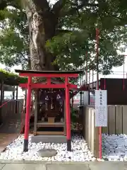 金剛宝寺（紀三井寺）(和歌山県)