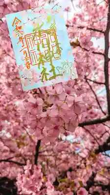 『さくら詣』御朱印 (金)
2/17〜桜が散るまで拝受できます🌸