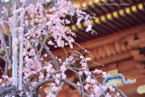 湯島天満宮(東京都)