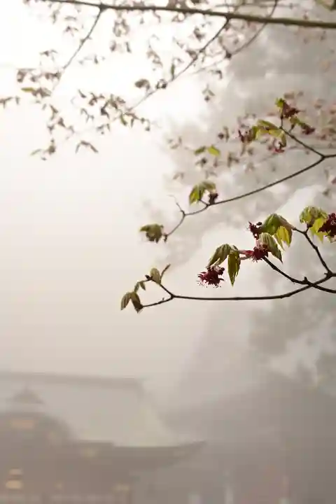 三峯神社(埼玉県)