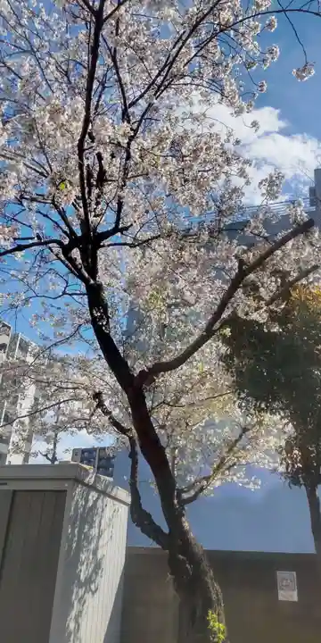 白幡八幡神社(東京都)