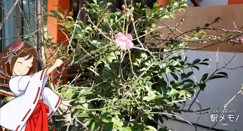 於玉稲荷神社の自然