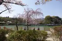 長岡天満宮の景色