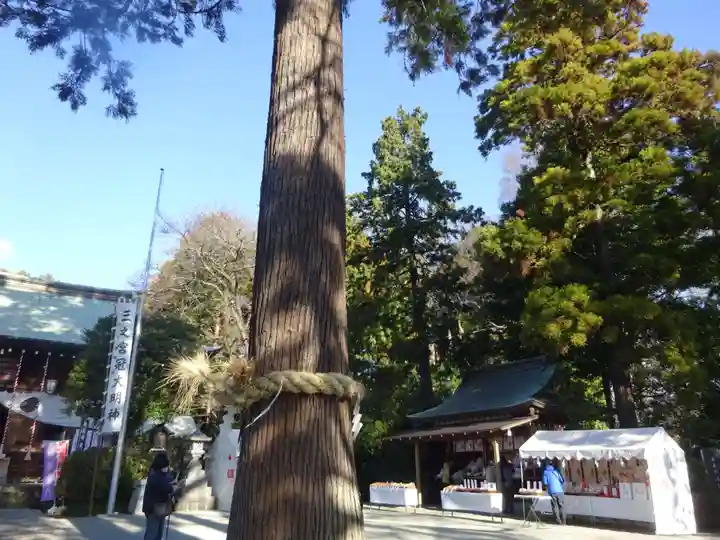 比々多神社の自然