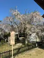 観音寺(三重県)