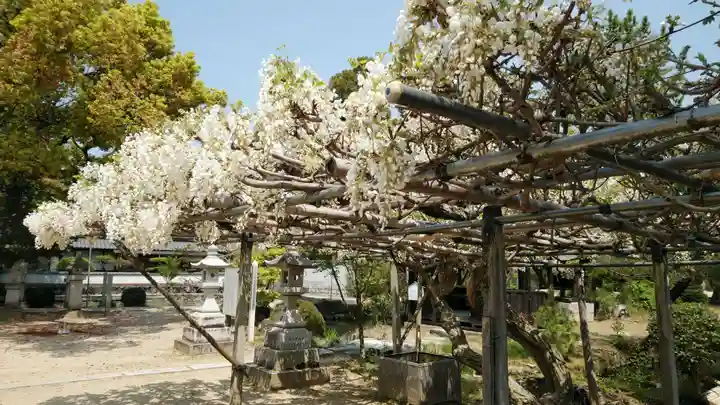 備中国總社の自然