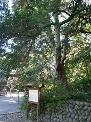 白羽神社の建物その他