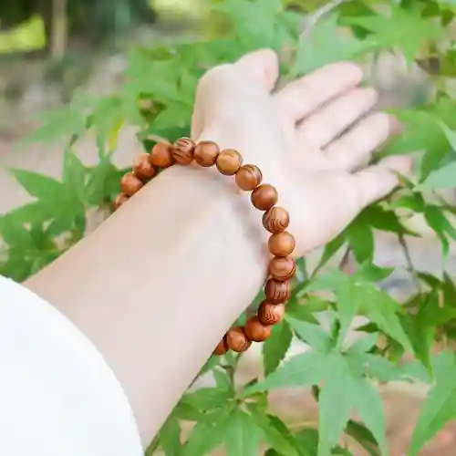 諫早神社（九州総守護  四面宮）の御朱印