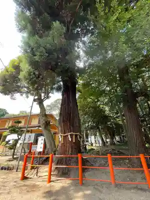 息栖神社(茨城県)