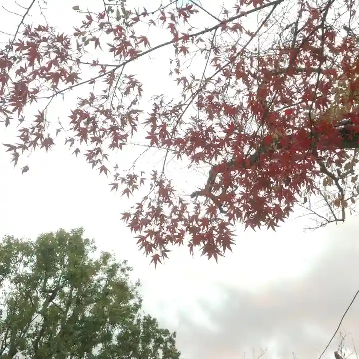 香取神社の自然