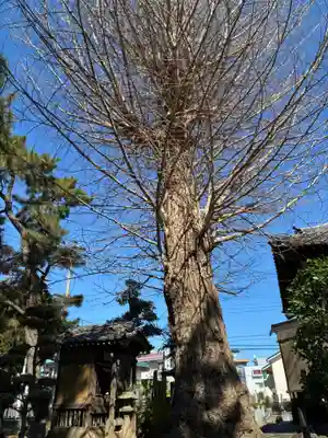 大乘院(千葉県)