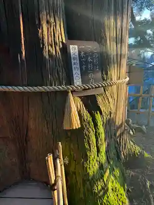 戸隠神社中社(長野県)