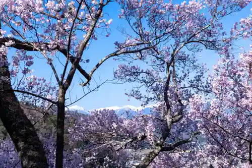 新城藤原神社(長野県)