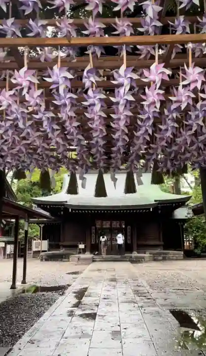 川越氷川神社(埼玉県)