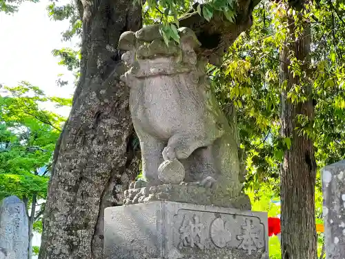 加茂神社の狛犬