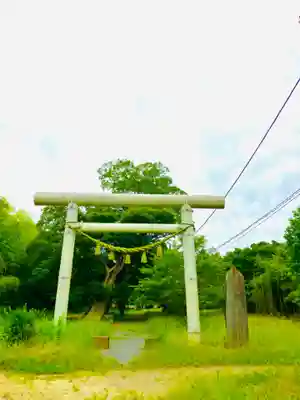 金村別雷神社の鳥居