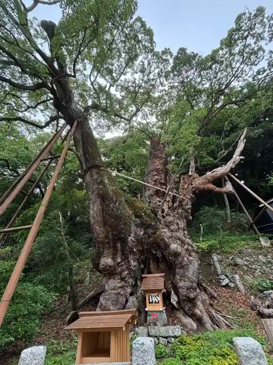 葛見神社(静岡県)