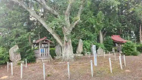 温泉神社(岩手県)